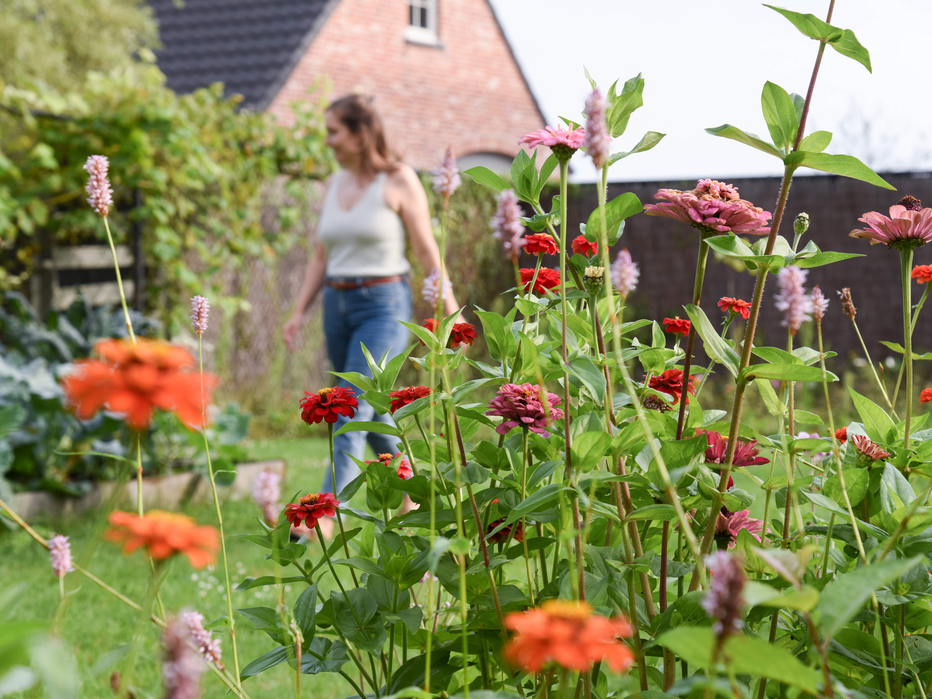 FoodLover Stefanie Baert proeft van ecologische tuin 