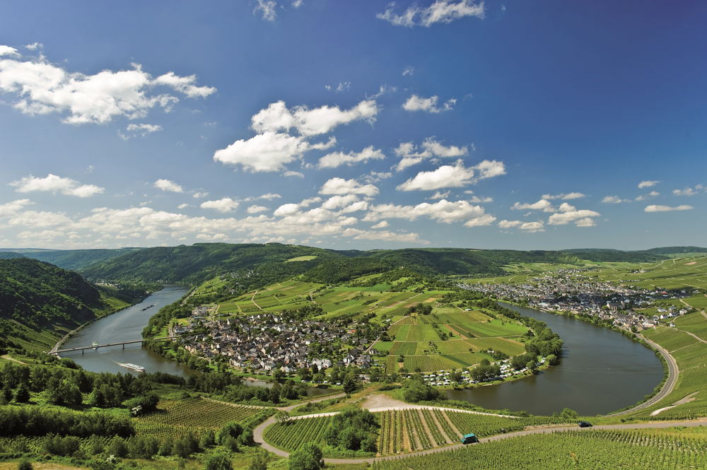 Mosel im Sommer