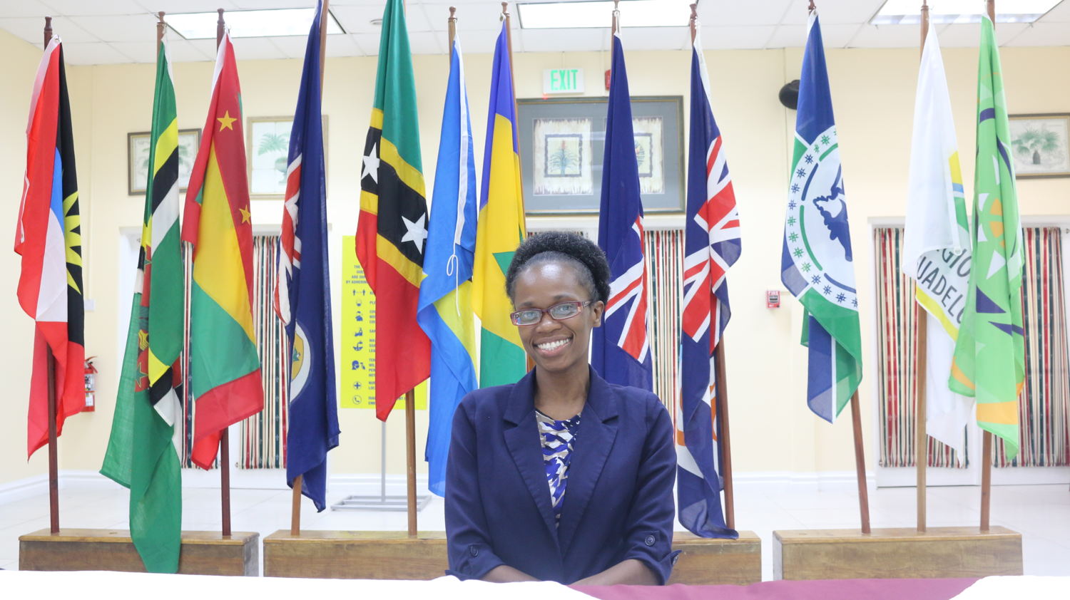 Dr Avion Bamodu - Programme Director, Health, OECS Commission. 