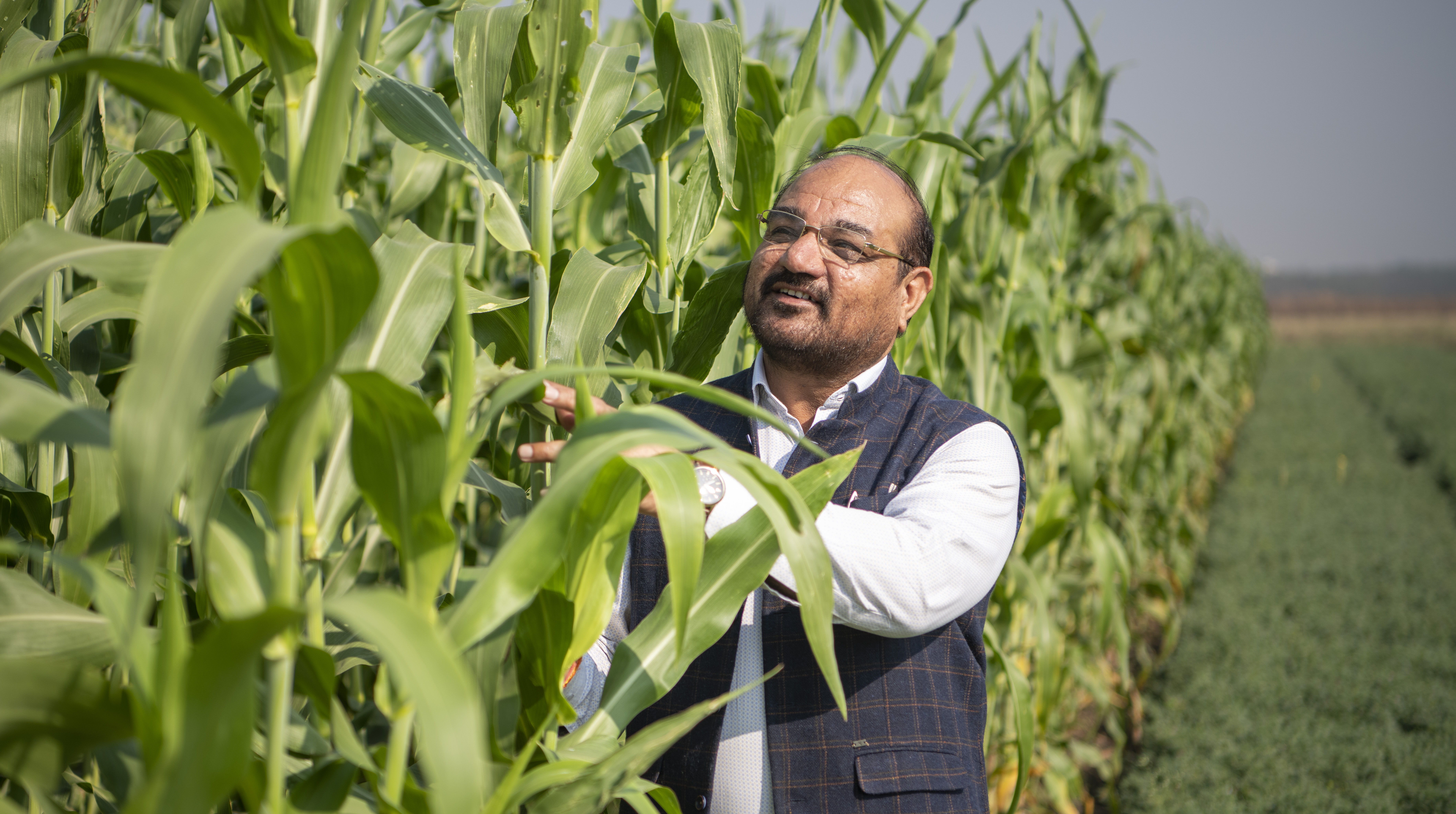 Dr ML Jat, Global Research Program Director, Resilient Farm and Food Systems, ICRISAT. Dr ML Jat, Global Research Program Director, Resilient Farm and Food Systems, ICRISAT.