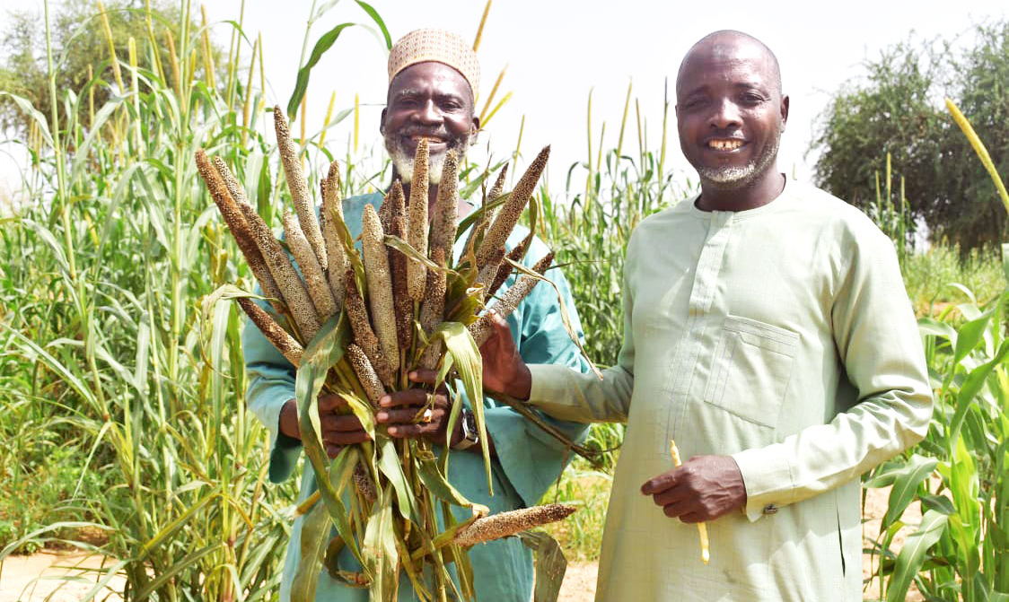ICRISAT Boosts Food Security in Niger and Chad During Ukraine-Russian Conflict