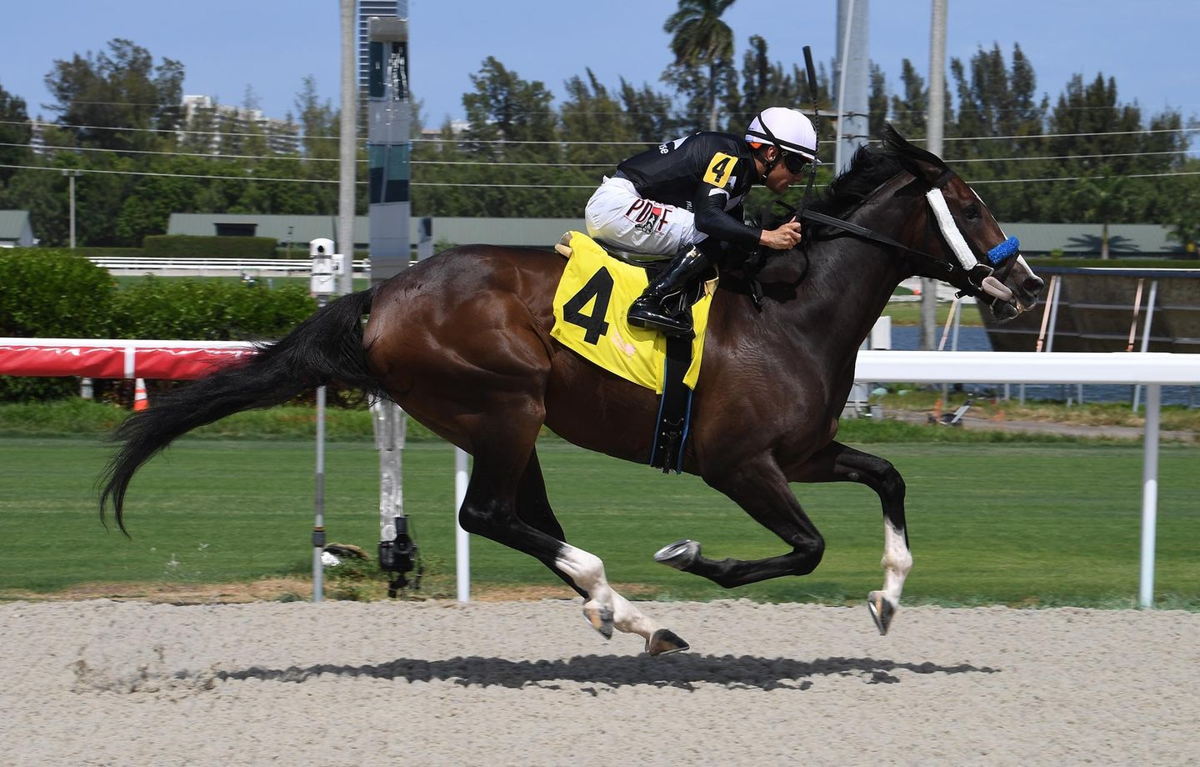 Carrothers will make his Woodbine debut in Sunday's Grade 3 Seagram Cup. (MyRacehorse/Gulfstream) 