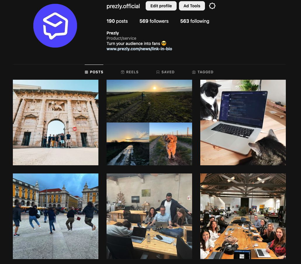 Our Instagram brand story is "chaotic; loves animals" Our Instagram brand story is "chaotic; loves animals"
