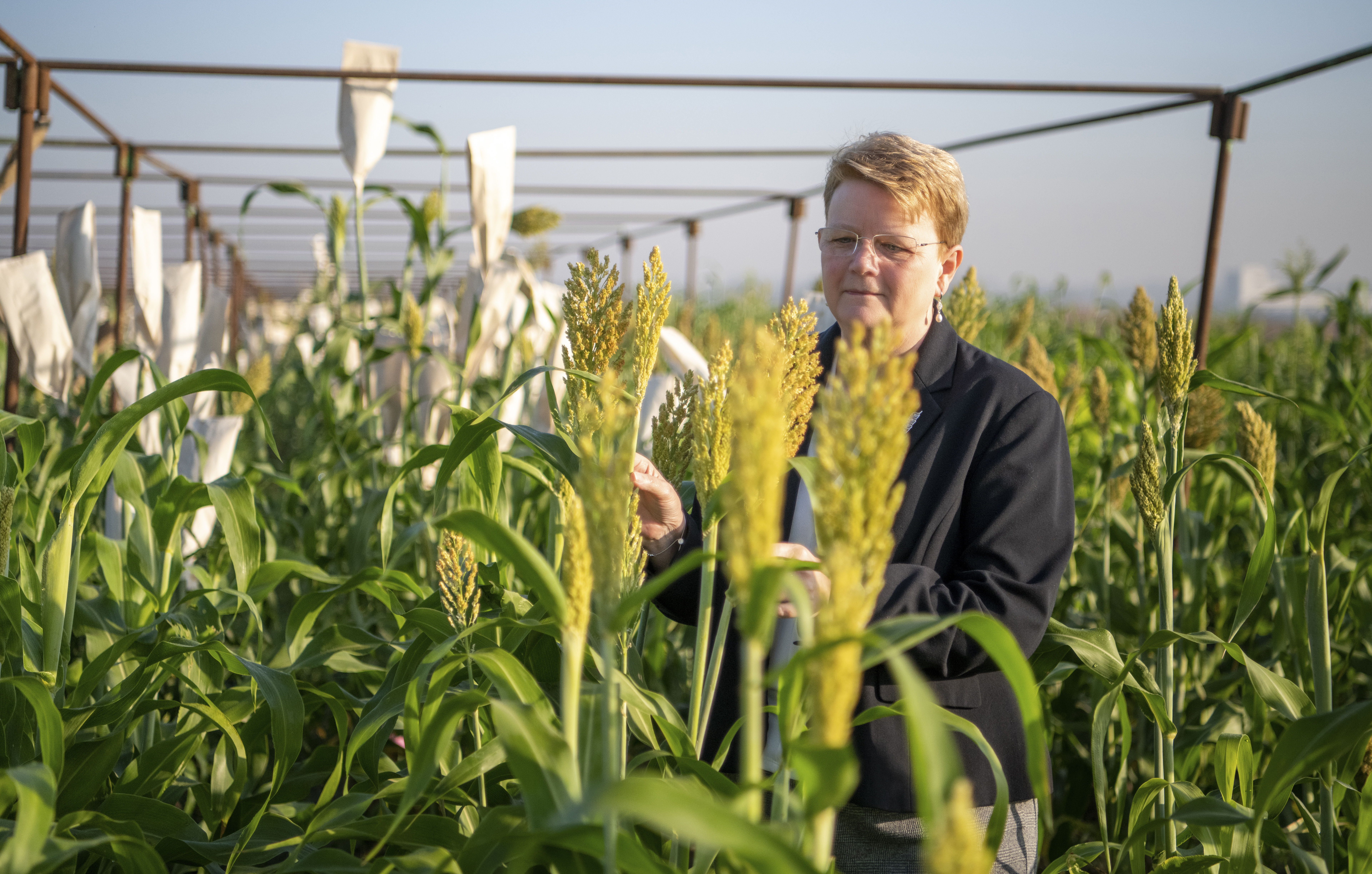 Dr Jacqueline Hughes, Director General, ICRISAT. ​