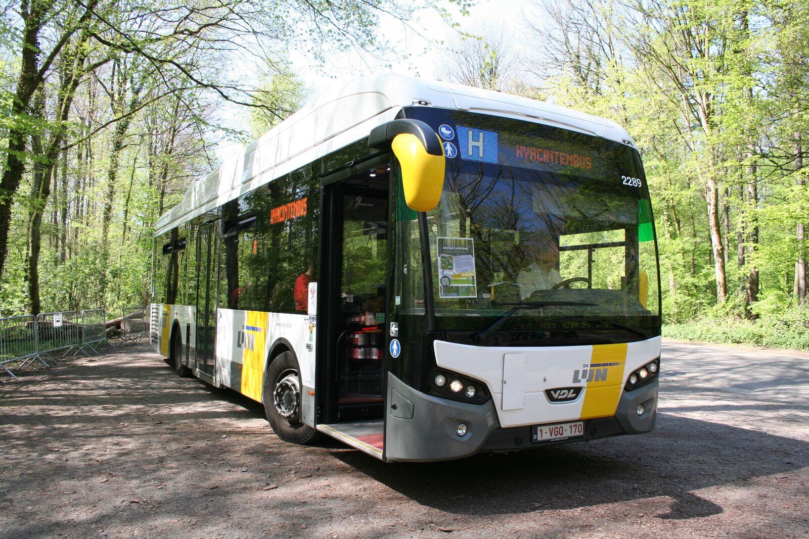 Gratis pendelbus naar de paarse pracht van het Hallerbos
