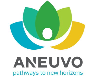 Aneuvo