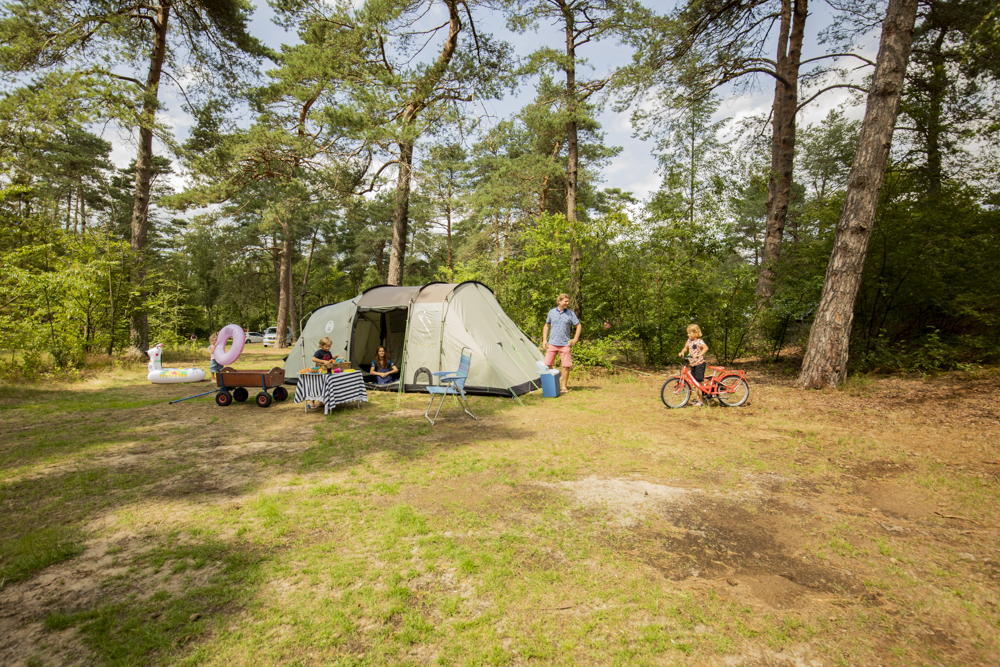 Kamperen op Landal Coldenhove