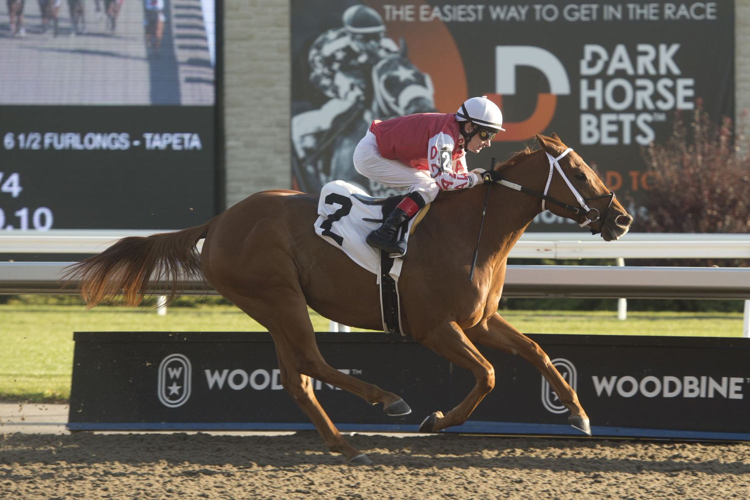 Red River Rebel and jockey David Moran winning race 7 on October 23, 2022 (Michael Burns Photo)