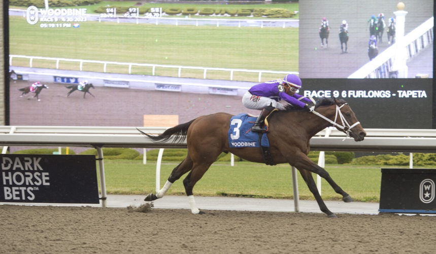 New York Thunder and Jockey Ricardo Santana Jr. winning the Woodstock Stakes on April 30, 2023 at Woodbine (Michael Burns Photo)