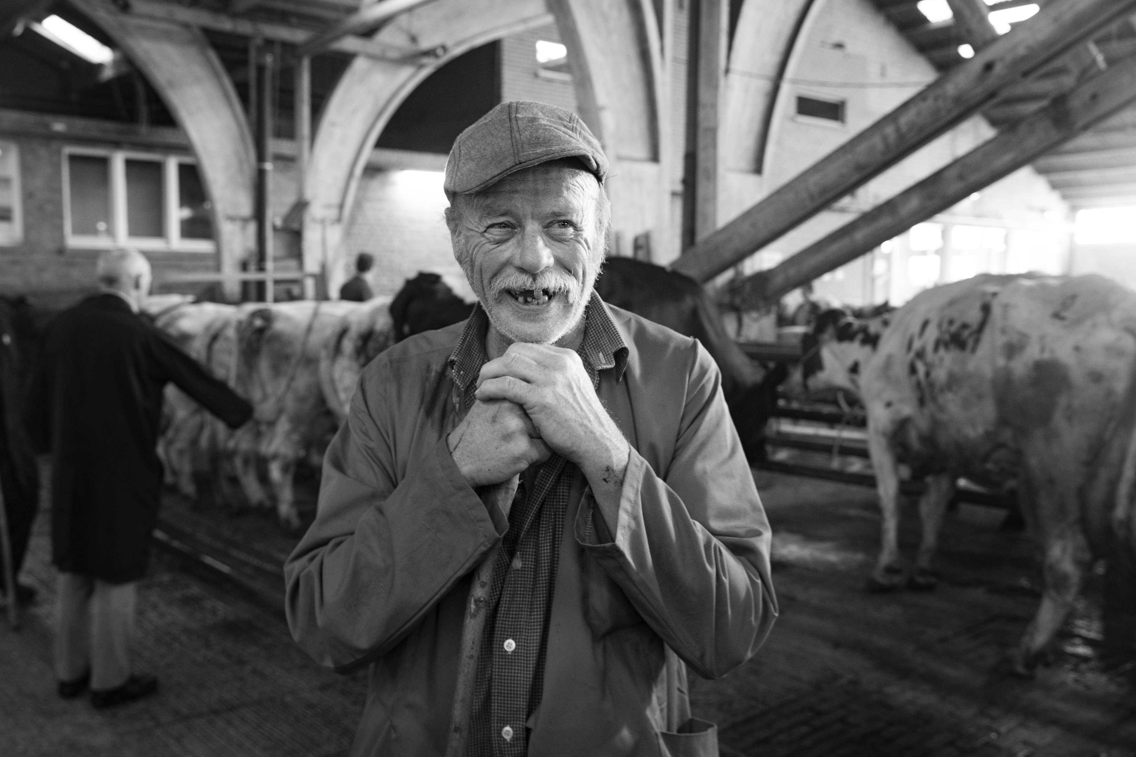 Gezocht: oude foto’s van de Brugse Veemarkt op de BULA-site  