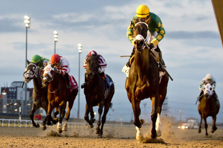 Fashionably Fab and jockey Patrick Husbands winning the La Prevoyante Stakes on December 9, 2023 at Woodbine (Michael Burns Photo)