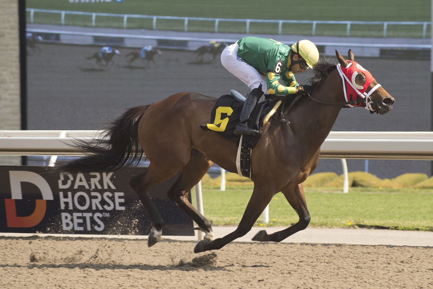 Souper Flashy winning at Woodbine on May 12, 2022. (Michael Burns photo)