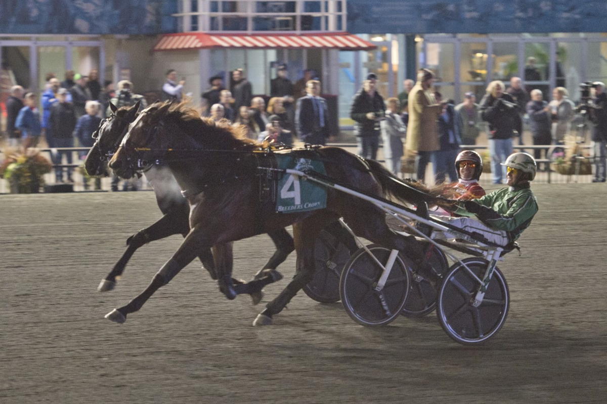 Special Way and Ake Svanstedt winning the Breeders Crown. (Michael Burns photo)