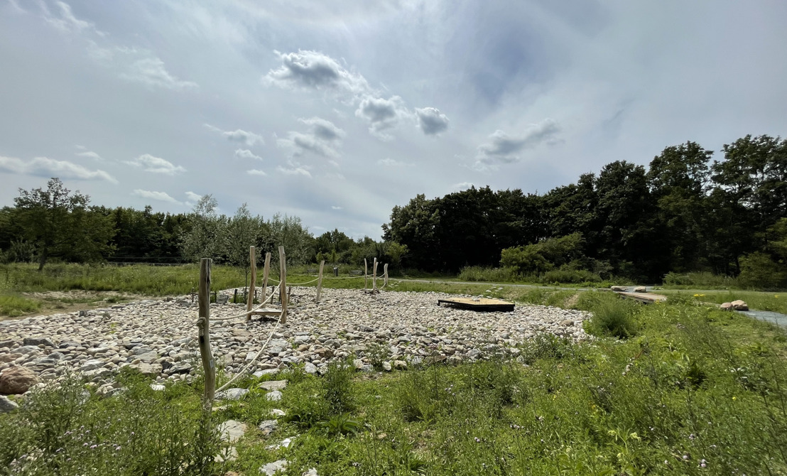 Natuurpark Wolvenberg helpt wateroverlast in Oud-Berchem tegengaan