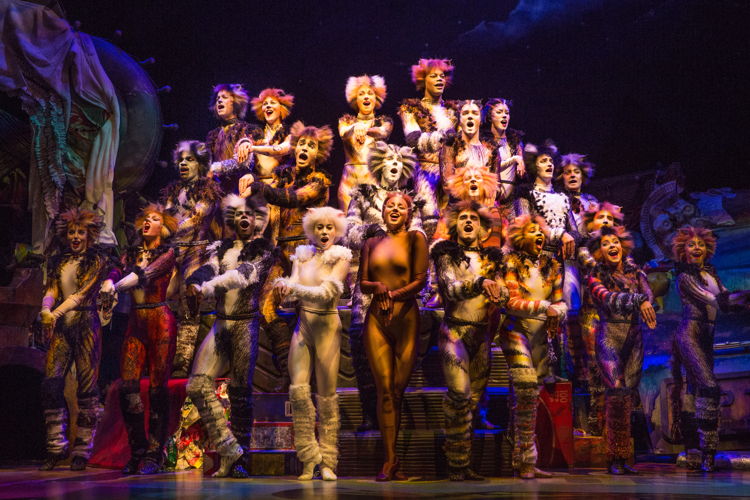 The Company of CATS on Broadway - Photo by Matthew Murphy