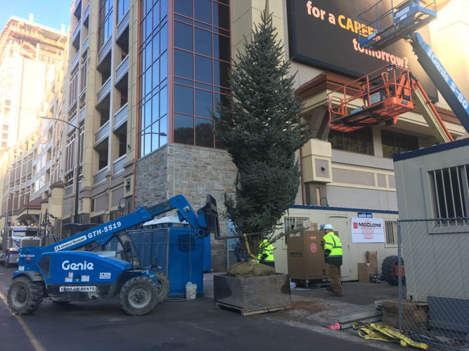 Crews hoist the lighted Christmas tree to the top of the 23rd floor. 