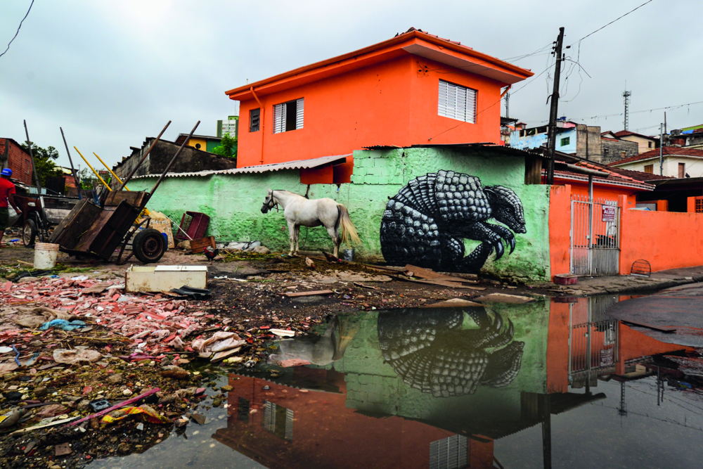 ROA SÃO PAULO  BRAZIL - Courtesy of the Artist