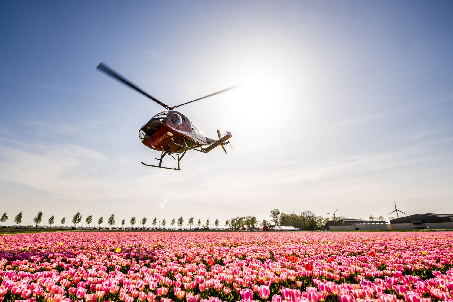 Helikopter boven tulpen, ©Tulpenfestival_Highres