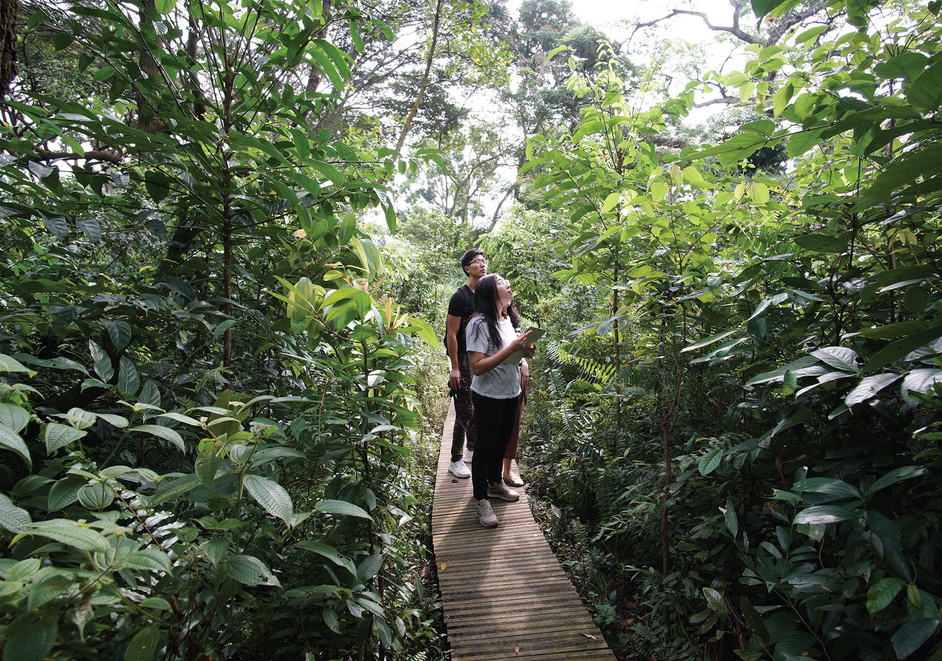 Ventus Naturalized Garden, NUS, designed by Yun Hye Hwang. Image: Zi En Jonathan Yue