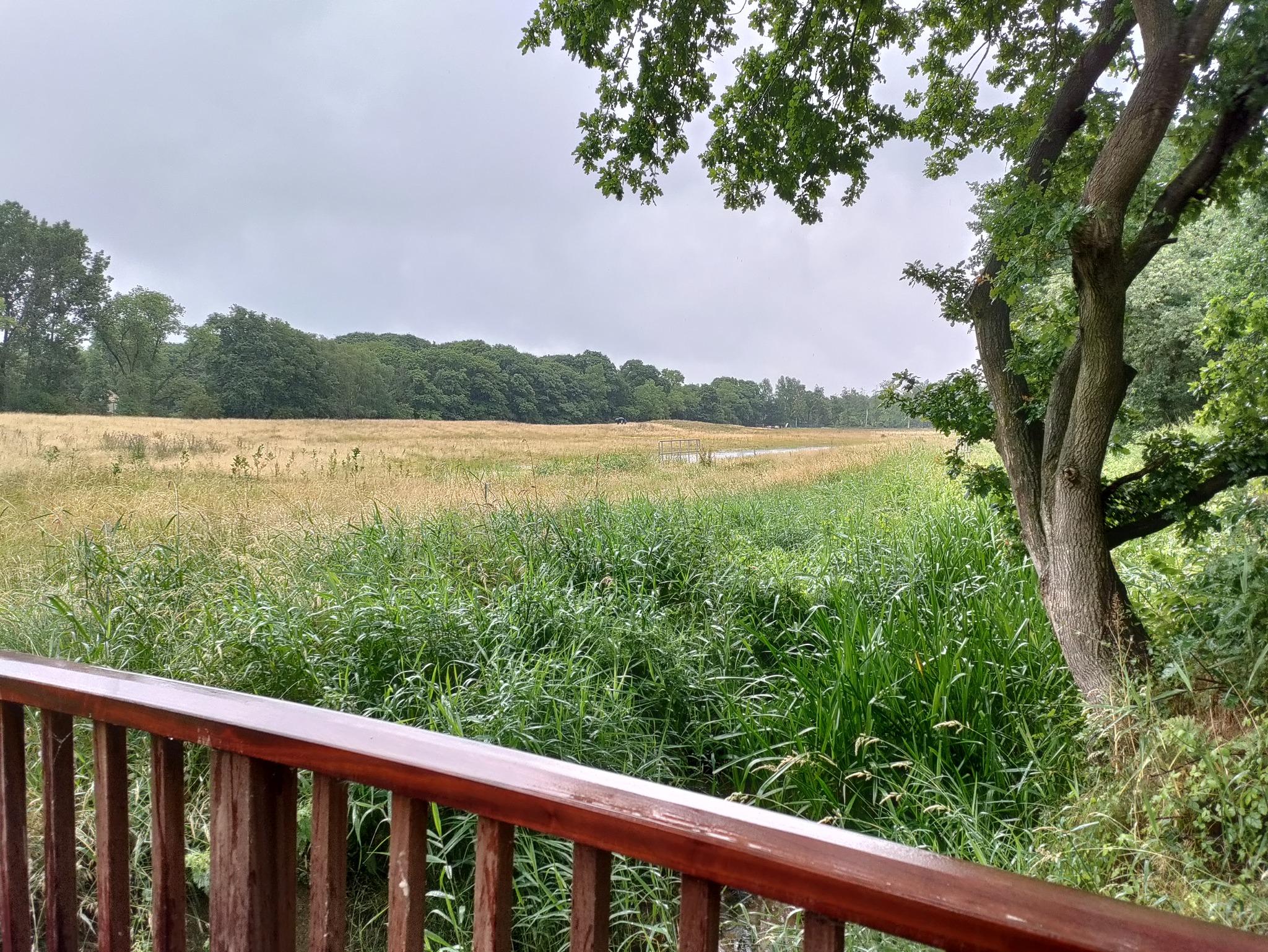 overstromingszone gezien van op het nieuwe brugje