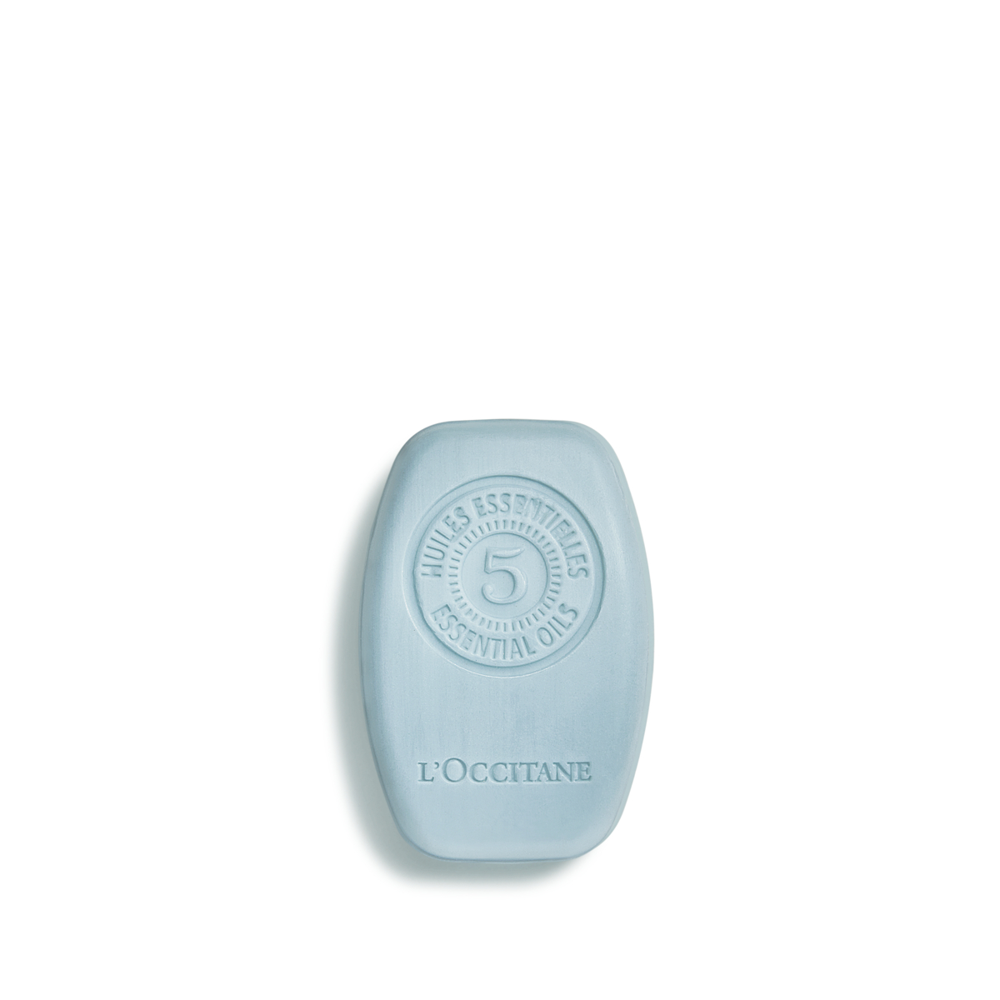 Pure Freshness Solid Shampoo