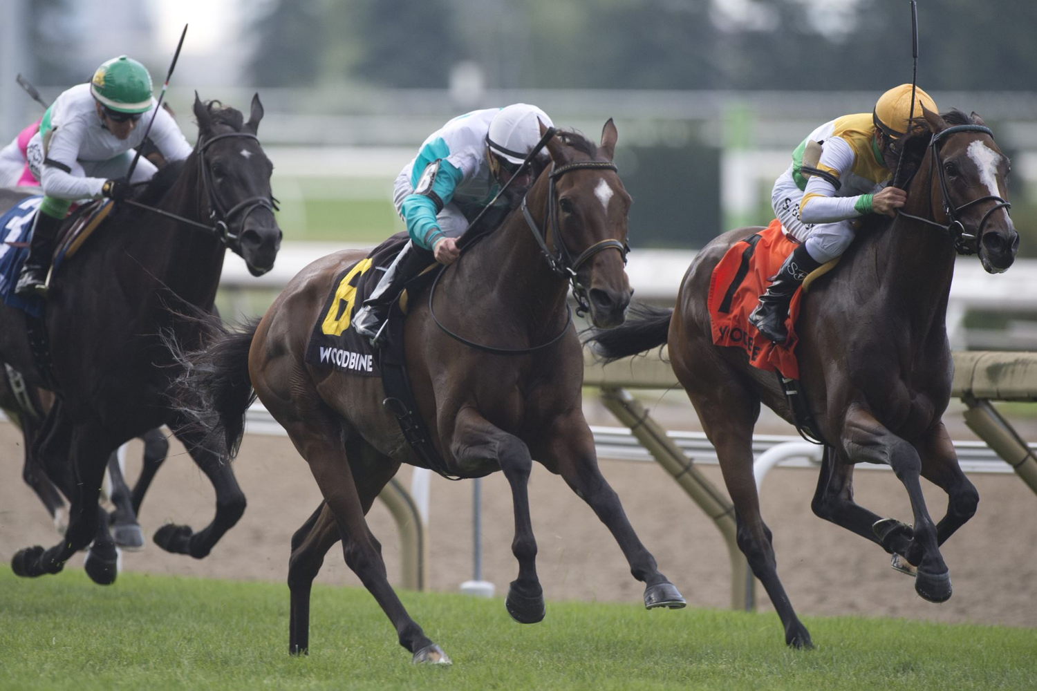 Giovanna Blues, trained by Francine Villeneuve, wins the 2019 edition of the Flaming Page Stakes (Michael Burns Photo)