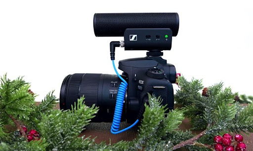 Imagen de la historia