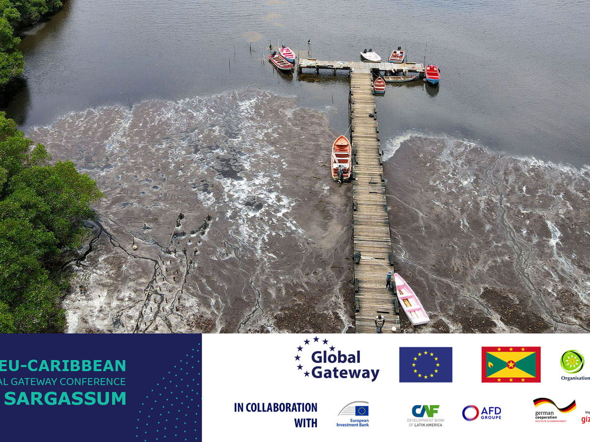 Grenada to Host 2nd EU-Caribbean Global Gateway Conference on Sargassum – October 1-2
