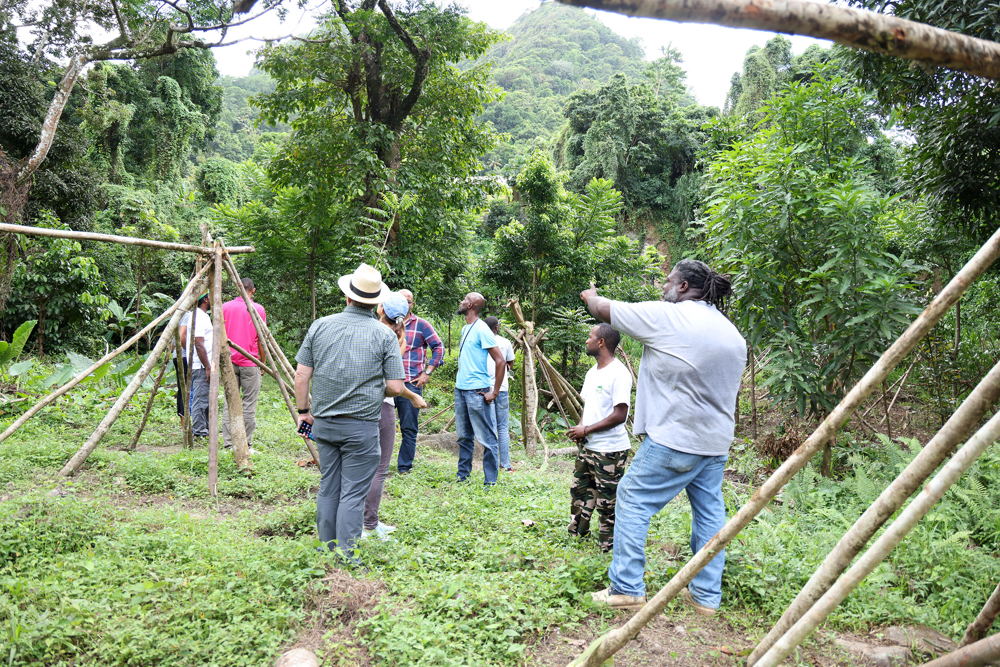 Project Site Visit in Saint Lucia