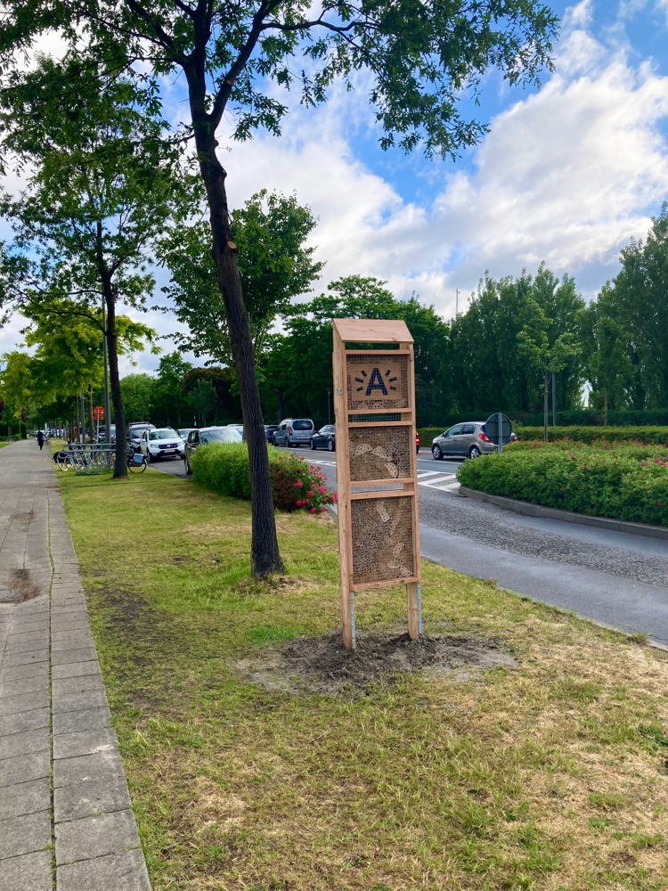 Bijenhotel langs de Thonetlaan (2050 Linkeroever)