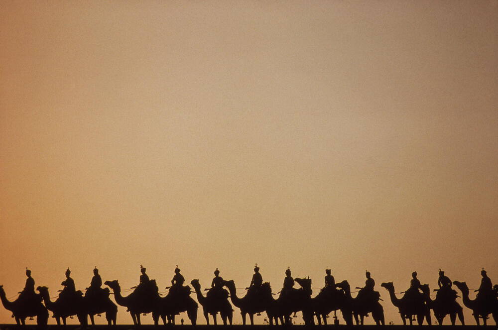 Camel train, India. AKG1031983 Camel train, India. AKG1031983