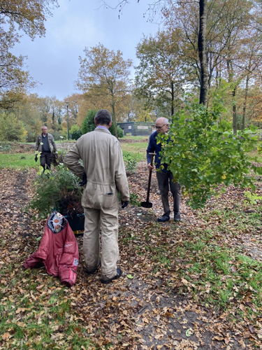 Verzamelen van de Zaailingen op Landal Gooise Heide