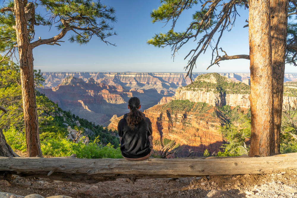 Grand Canyon, AZ