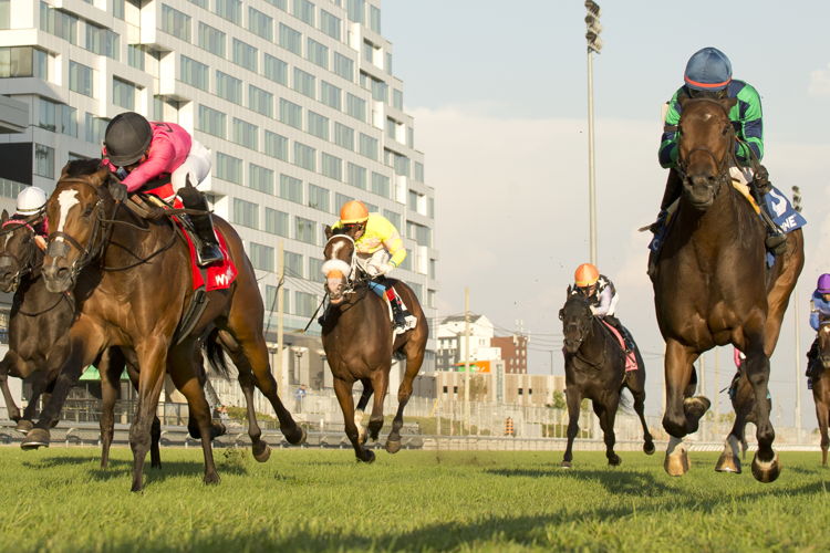 Scorching (#3) and jockey Patrick Husbands winning the Cup & Saucer Stakes on October 6, 2024 at Woodbine (Michael Burns Photo)