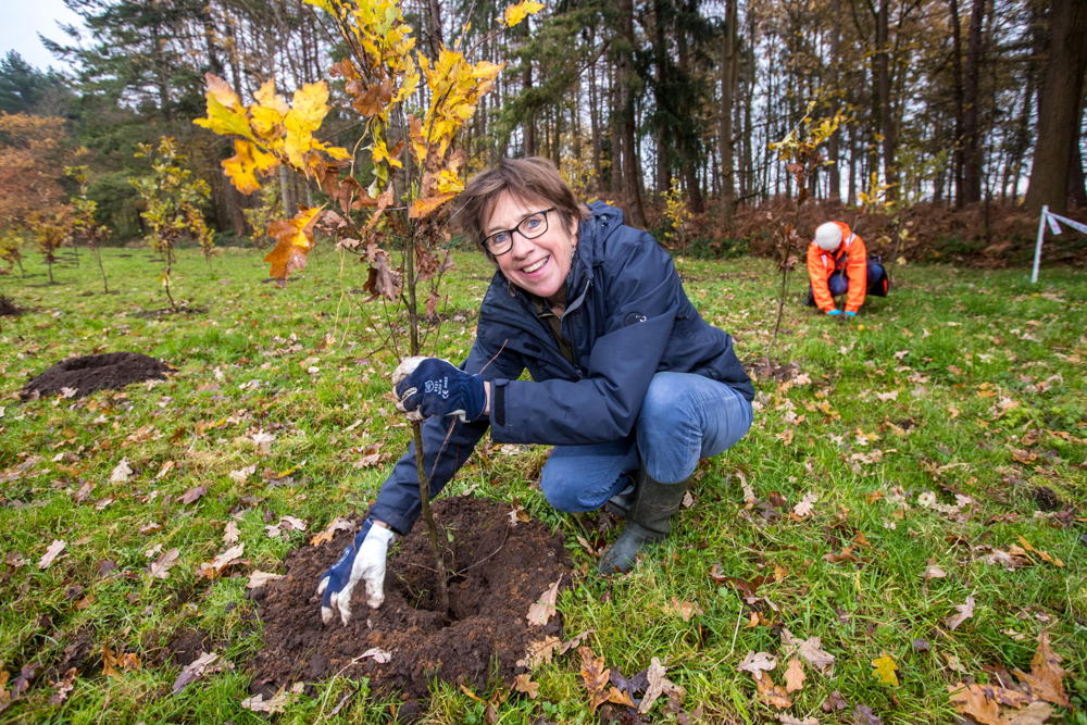 gedeputeerde Riet Gillis tijdens plantactie Hospicebossen Nazareth - copyright Lieven Van Assche