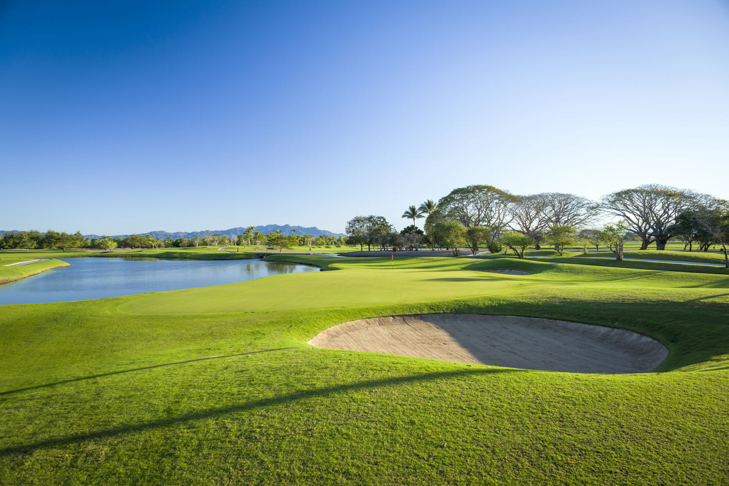 Campo de golf Greg Norman en Vidanta Nuevo Vallarta