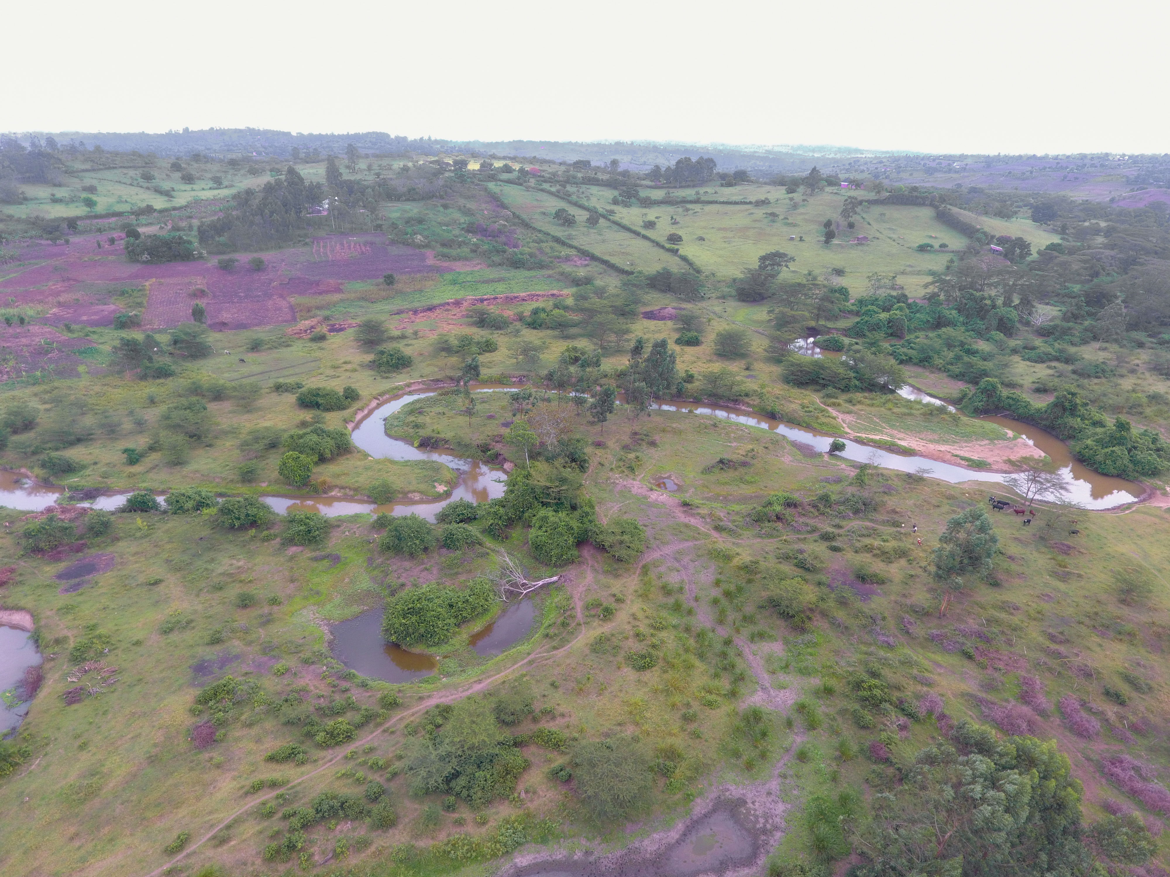 Luchtfoto van Rushango Wetland