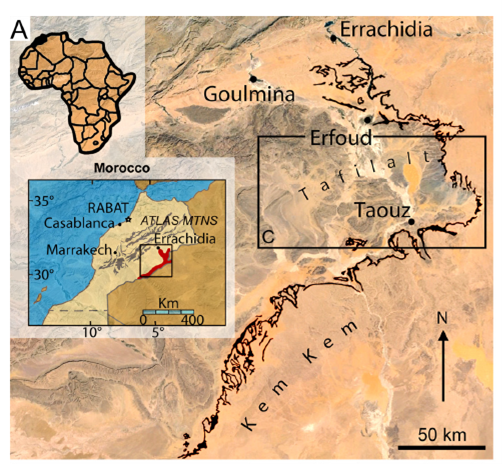 Locatie van de Kem Kem afzettingen in Marrokko © Hendrickx et al. 2024