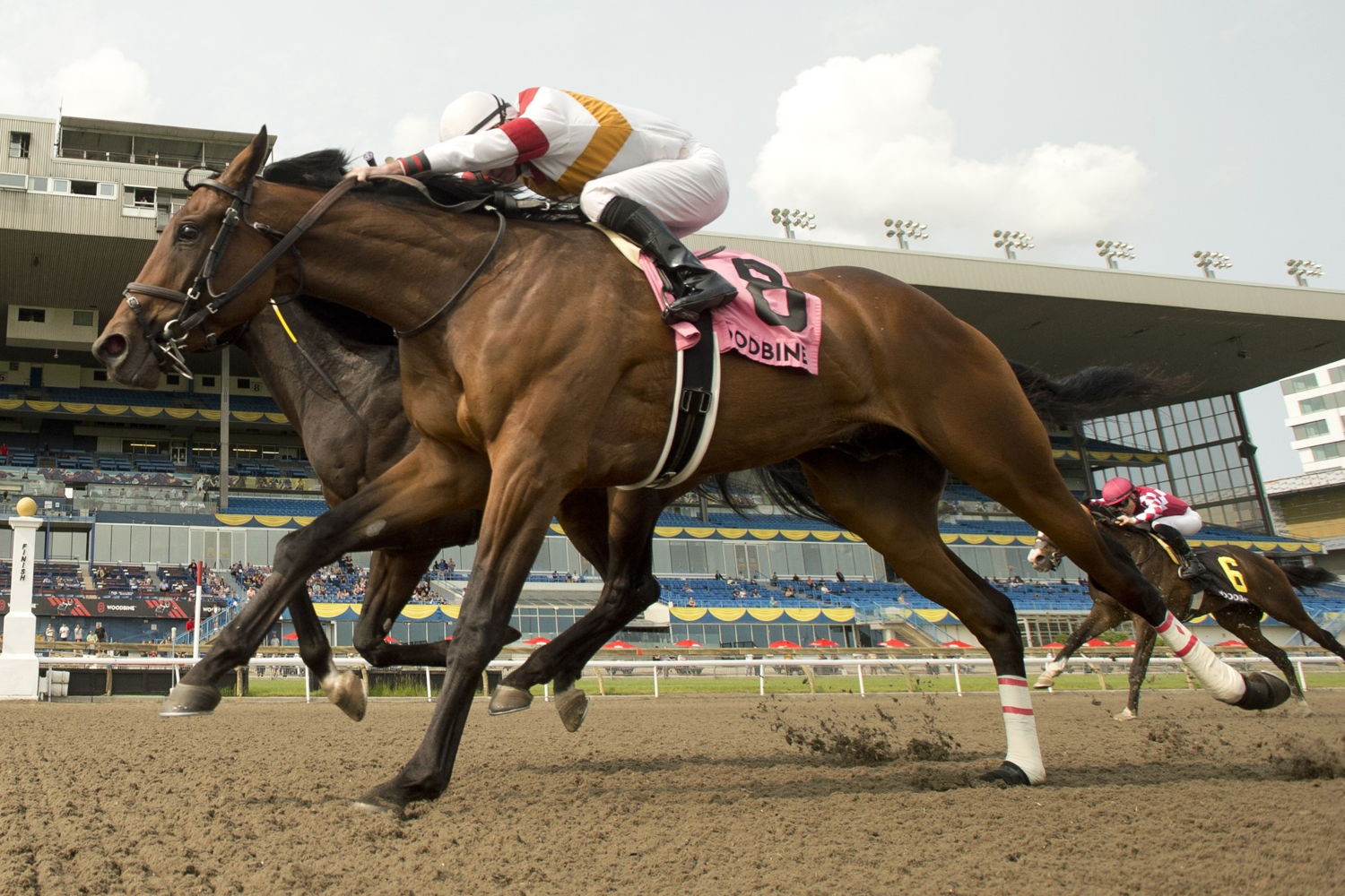 Twin City and jockey Gary Boulanger winning the King Corrie Stakes on May 21, 2023 at Woodbine (Michael Burns Photo)