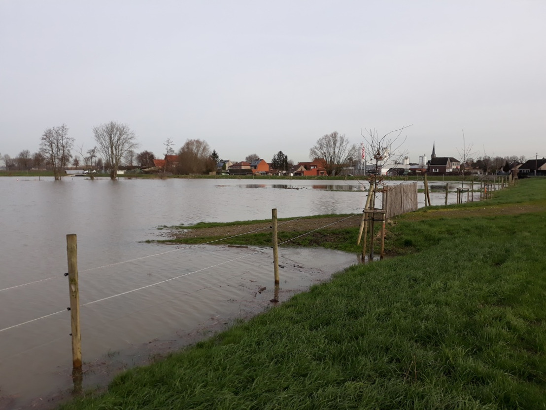 Overstromingsgebied ‘Birrebeek’ voorkomt wateroverlast in Nieuwenrode