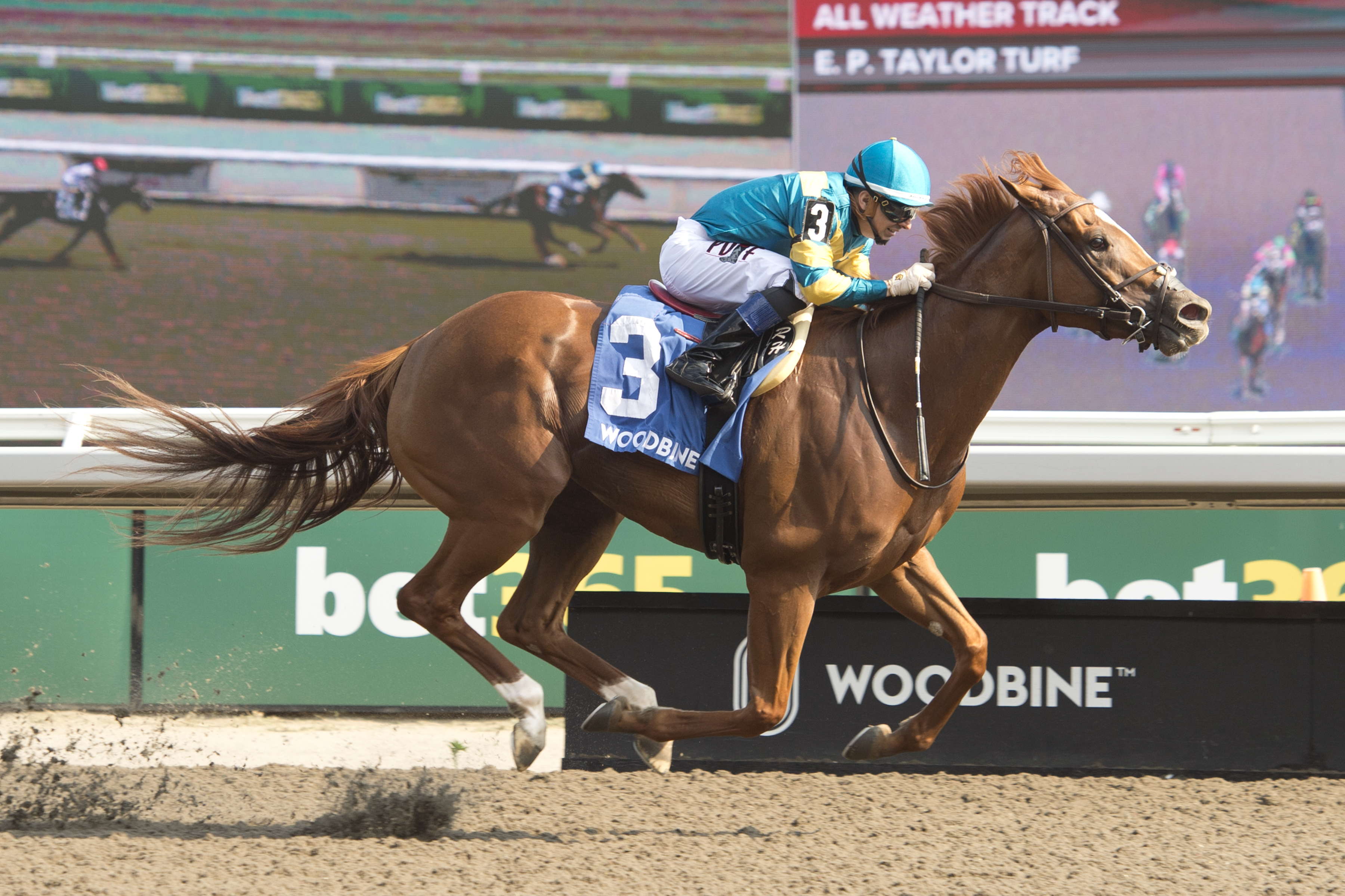 Grade 3 Hendrie: Creed’s Gold, owner Kristin Meldahl celebrate first stakes success