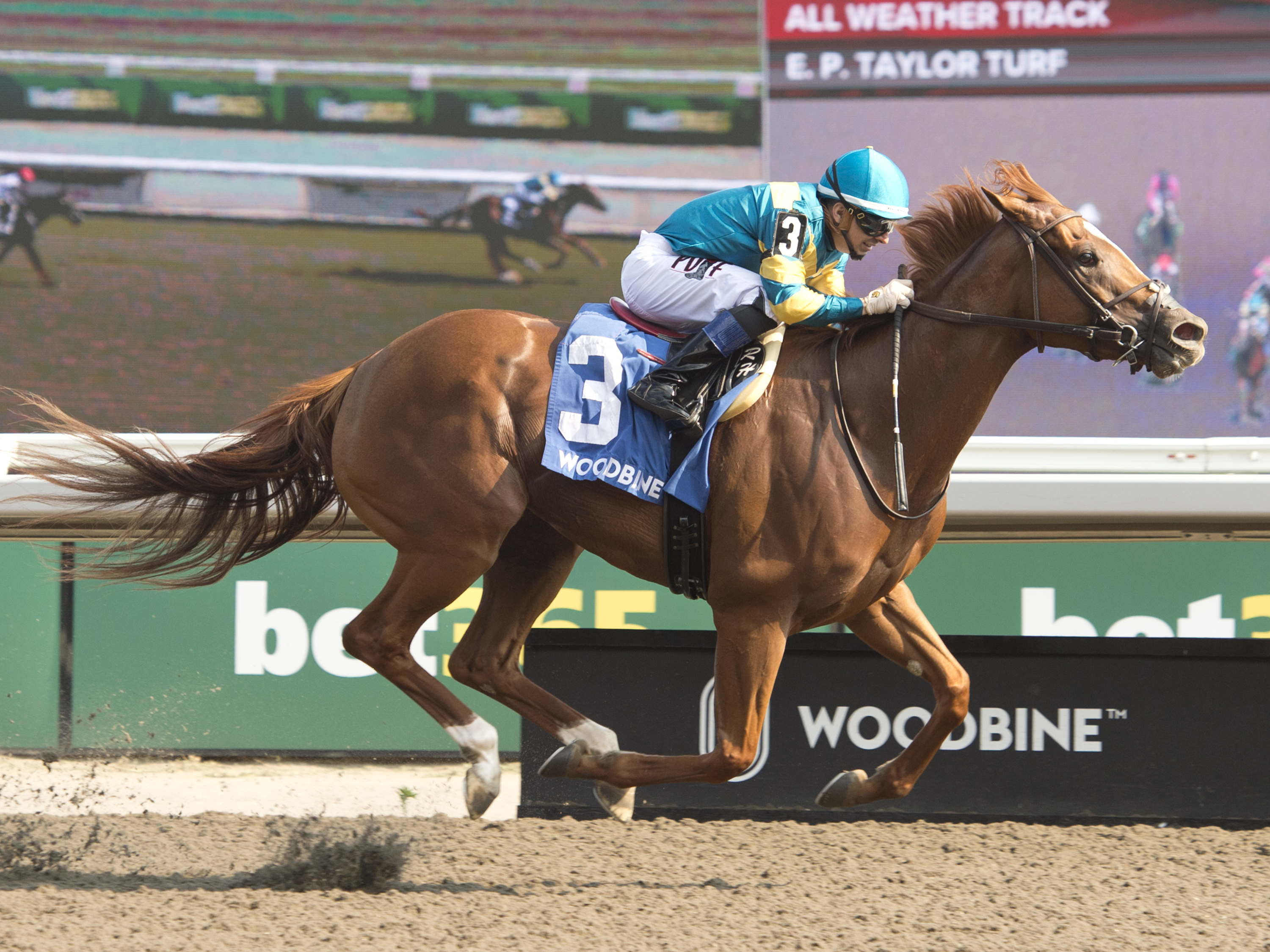 Grade 3 Hendrie: Creed’s Gold, owner Kristin Meldahl celebrate first stakes success