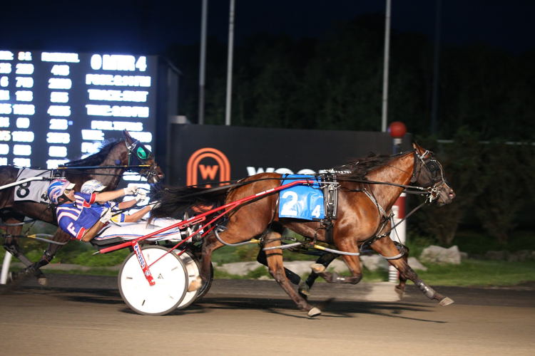 Bob Loblaw winning a division of the Nassagaweya Stakes in August 2021 at Woodbine Mohawk Park. (New Image Media)