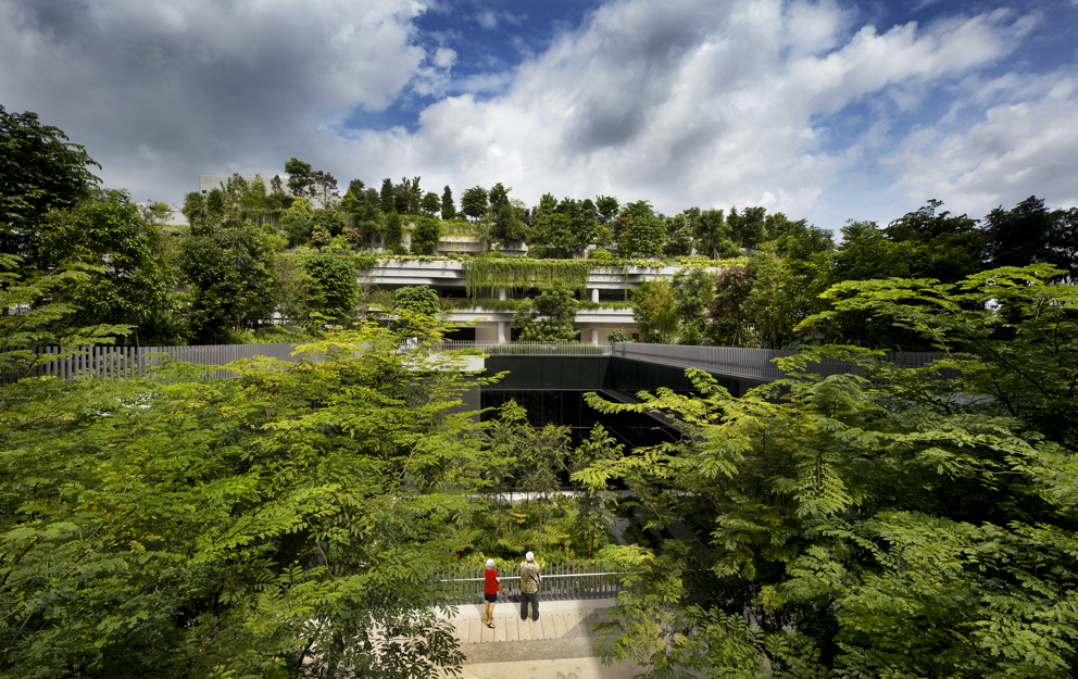 SINGAPORE: CITY OF DESIGN, BY DESIGN - GREEN SPACES MATTER