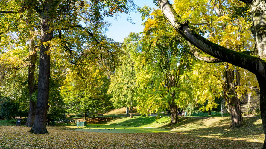 stadspark Leuven