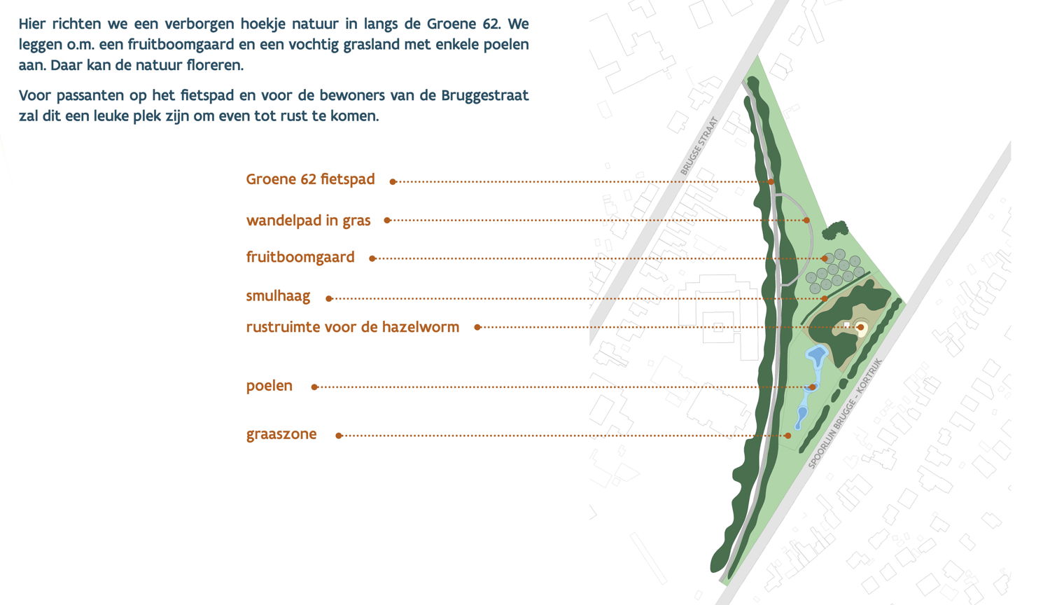 Schema inrichting Groene62