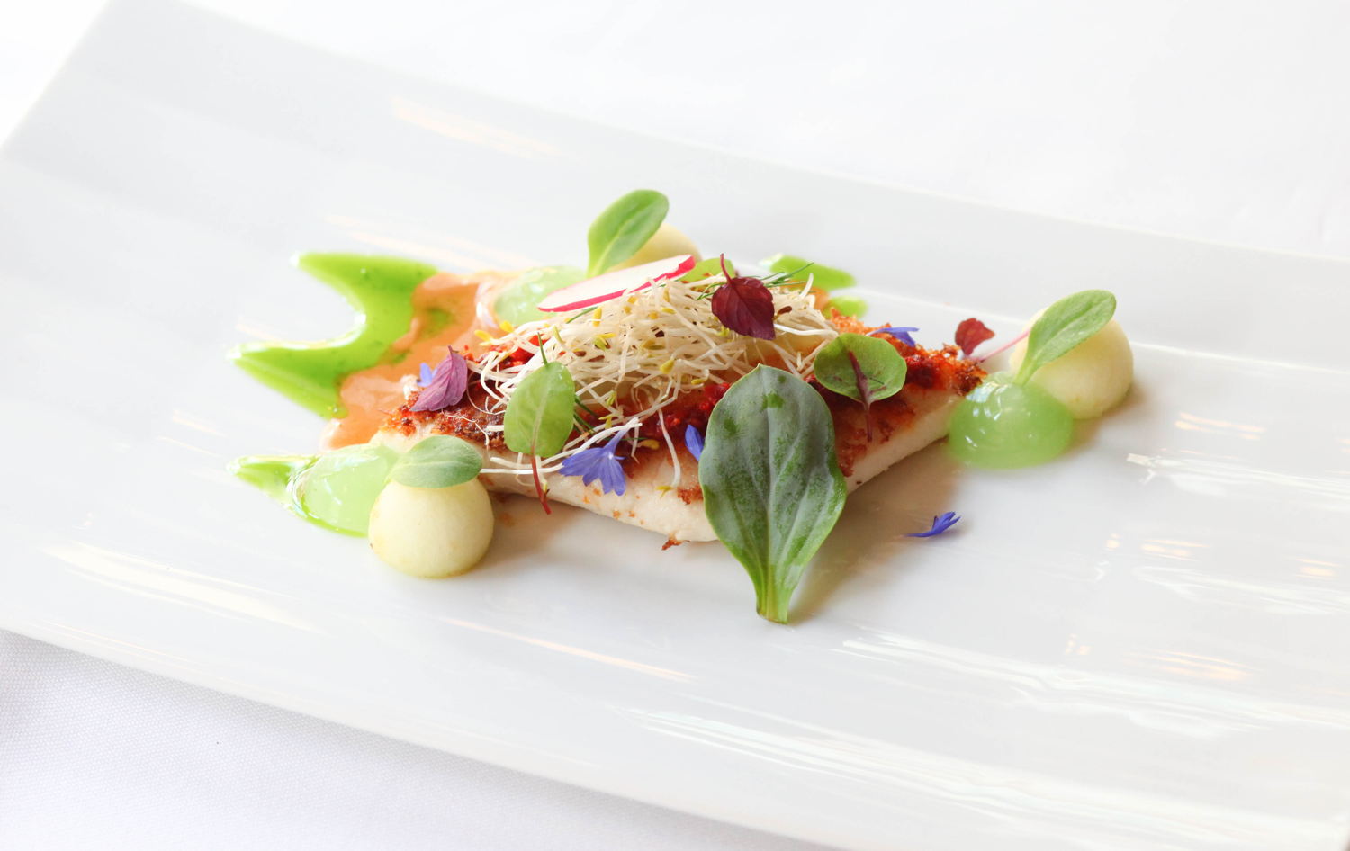 Sharks Bay: Gebakken haaienfilet met appel, licht pikante vissaus en appelgel.
