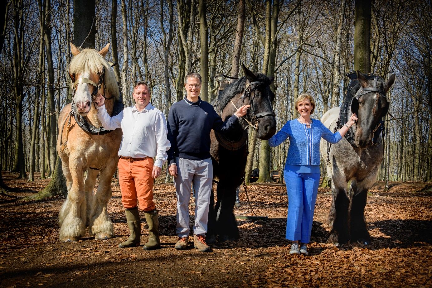 Een foto uit het nieuwe trekpaardmagazine: gedeputeerden Gunther Coppens, Tom Dehaene en Ann Schevenels bij enkele trekpaarden (copyright: Lander Loeckx)