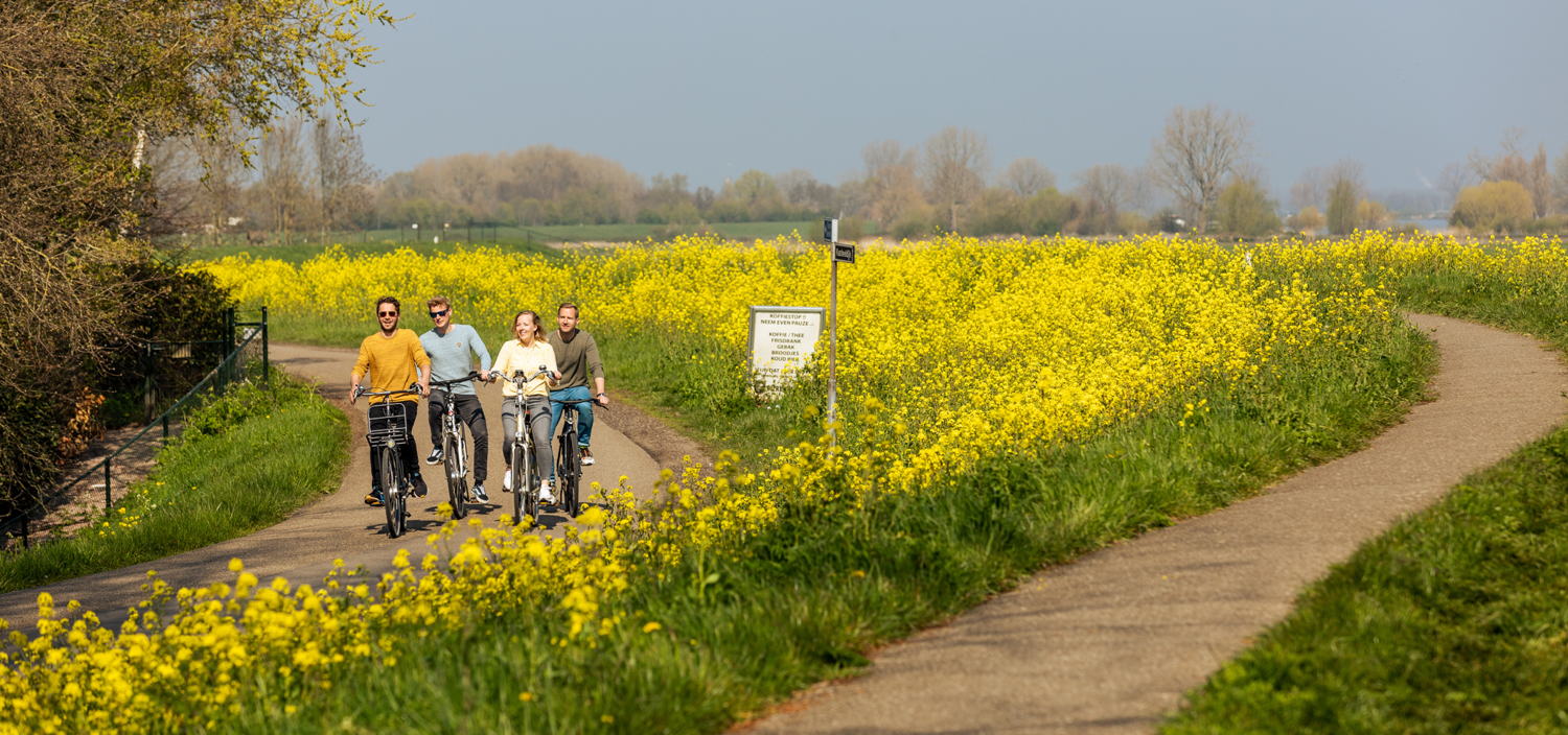 Cyclisme dans la nature de Brabant-Septentrional: Maashorst, ©VisitBrabant