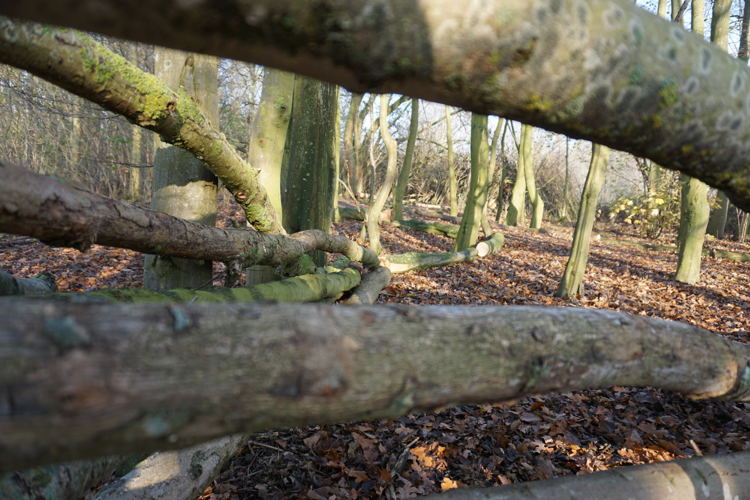 De Gavers Speelbos 